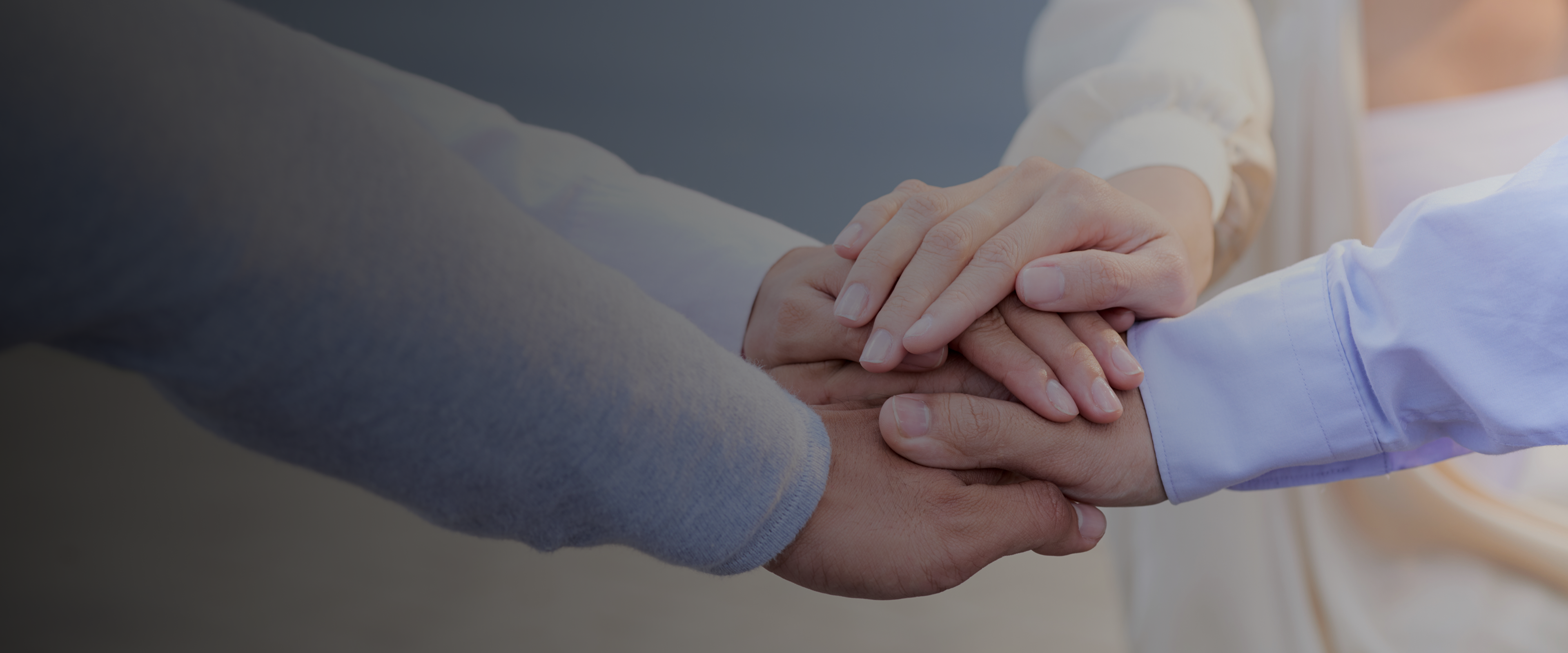 붕붕마켓 브랜드북