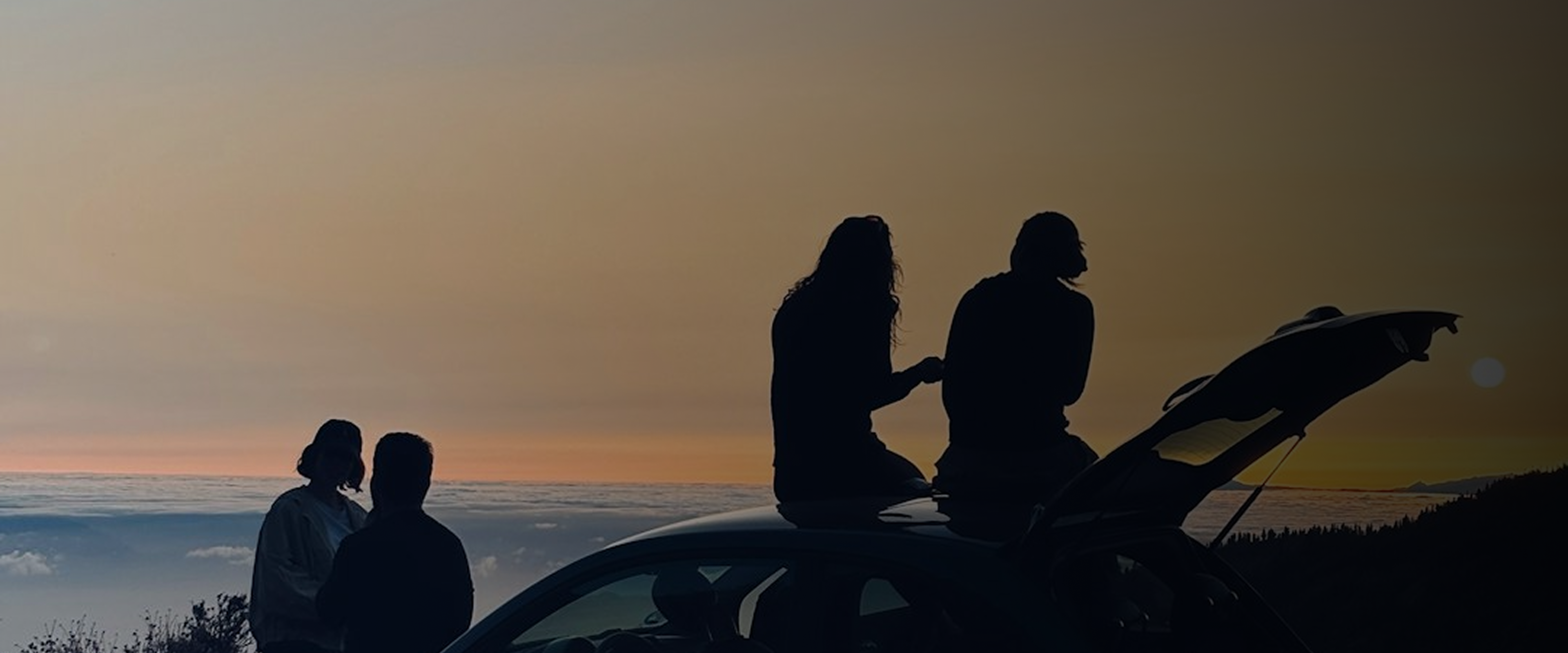 붕붕마켓 브랜드북